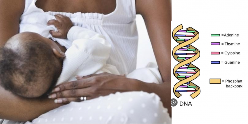The Liquid Gold Code: How DNA and Breast Milk Are More Connected Than You Think
